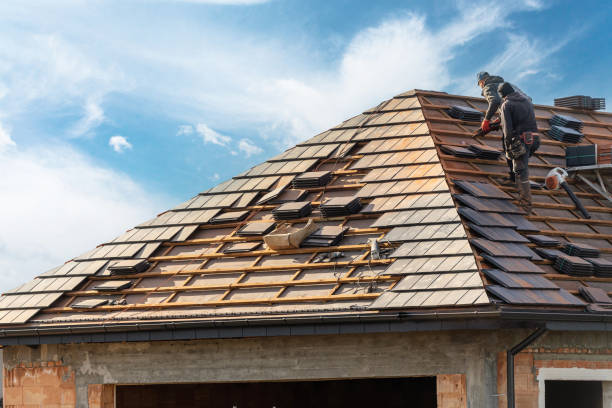 Best Roof Insulation Installation  in Fulshear, TX